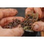 Guru Multi Maggot Feeders