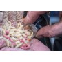 Preston Innovations Clik Cap Feeder