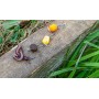 Preston Innovations KKH Hooks