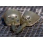 Preston Innovations ICS In-Line Solid Pellet Feeders