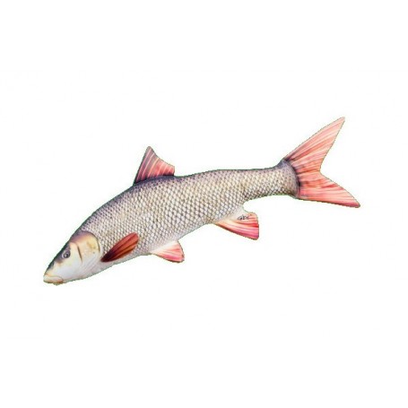 Gaby The Barbel Pillow