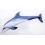 Gaby Bottlenose Dolphin Giant