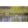 Drennan Acolyte Pro Carp 16m Standard Pole Package