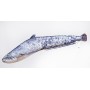 Gaby Giant Catfish Pillow