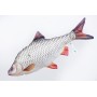 Gaby Fish Pillows The Roach