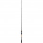 Shimano 22 Expride - Casting