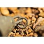Korda Heli Leads