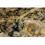 OMC Blend Fuzed QC Fishing Leader 40lb