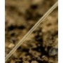 OMC Blend Fuzed QC Fishing Leader 40lb