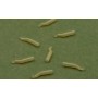 OMC Dazzlers Magoliner Aligner