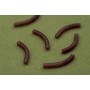 OMC Dazzlers Wormaliner Curve