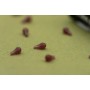 OMC Dazzlers Worm Brown Long Distance Hook Bead