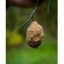 OMC Arra Fishing Lead