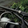 Korda Kaizen Platinum Carp Rod 12ft 6" 4lb
