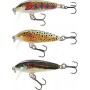 Rapala Trout Kit