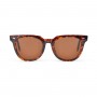 Fortis Cat Eyes Tortoise Shell 24/7 Brown Woman's Sunglasses