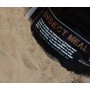 DNA Baits Insect Meal