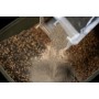 DNA Baits Insect Meal