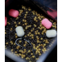 DNA Baits Crayfish Mini Mix 5kg