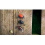 Salmo Chub Pack
