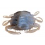Berkley GULP! Saltwater Peeler Crab 2"