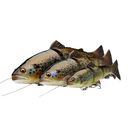 Savage Gear 4D Line Thru Trout