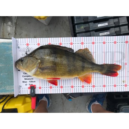 Reuben Heaton FM Competition Level Fish Measures