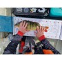 Reuben Heaton FM Competition Level Fish Measures