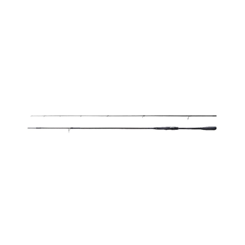 Shimano 22 Exsence Infinity 9'6