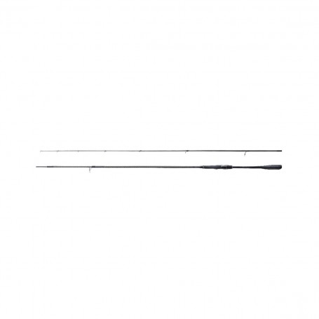 Shimano 22 Exsence Infinity 9'6" 6-40g