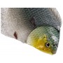 Westin Flat Matt 8.5cm - 28g