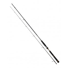Daiwa BG Seabass