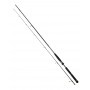 Daiwa BG Seabass