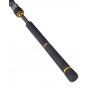 Daiwa BG Seabass