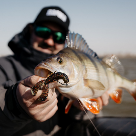 Rapala Crushcity Cleanup Craw 3.5" (2pk)