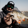 Rapala Crushcity Cleanup Craw 3.5" (2pk)