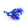 Duo Backdoor Project X Pokemon - Kyogre