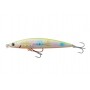 Savage Gear Gravity Shallow 10cm -14g F