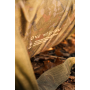 OMC Heist Carp Care Bundle