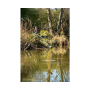 SonuBaits Supercrush Mega Carp Method Mix Green