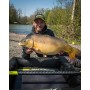 Matrix Torque Carp 6m Pole