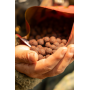 OMC Paella Stabilised Boilies 1kg