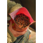 OMC Paella 6 and 8mm Pellet Mix 1kg