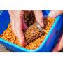 Preston Innovations Wire Bait Up Feeder 55x40mm