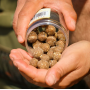 OMC iScream Boosted Cured Hookbaits