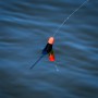 Preston Innovations F1 Dibber Pole Float