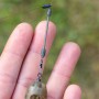 Preston Innovations Feeder Links Stiff