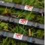 Normark Avenger 12-14ft (3+1 section) Float Rod
