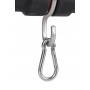Fox Carpmaster Pro HD Weigh Bar