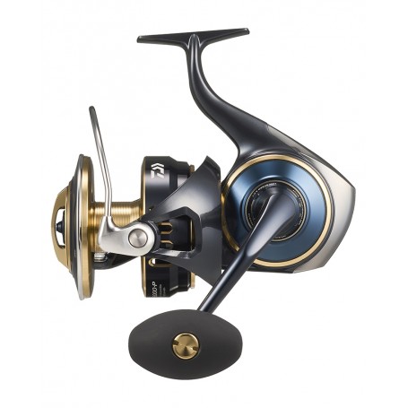 Daiwa 25 Saltiga